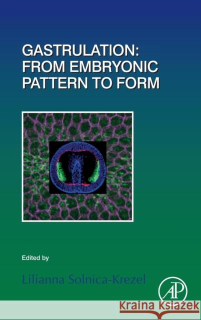 Gastrulation: From Embryonic Pattern to Form: Volume 136 Solnica-Krezel, Lilianna 9780128127988 Academic Press - książka