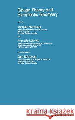 Gauge Theory and Symplectic Geometry Jacques Hurtubise Charles J. Daly Francois LaLonde 9780792345008 Springer - książka