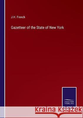 Gazetteer of the State of New York J H French 9783375132347 Salzwasser-Verlag - książka