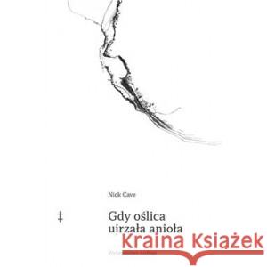 Gdy oślica ujrzała anioła CAVE NICK 9788367515290 ART RAGE - książka