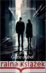 Gdzie diabeł nie może Kamila Ciołko-Borkowska 9788396538857 Bibliotekarium - książka
