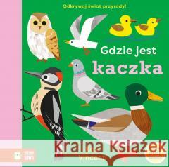 Gdzie jest kaczka Kay Vincent 9788382999105 Zielona Sowa - książka