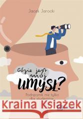 Gdzie jest mój umysł? Jacek Jarocki 9788301229672 Wydawnictwo Naukowe PWN - książka