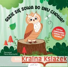 Gdzie się sowa do snu chowa? Kto mieszka w lesie Fiona Huisman 9788383531533 Jedność - książka