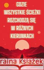 Gdzie wszystkie ścieżki rozchodzą się w różnych.. Filip Ryś 9788383736556 Novae Res - książka