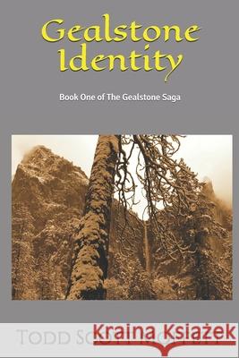 Gealstone Identity: Book One of The Gealstone Saga Todd Scott Moffett 9781097121175 Independently Published - książka