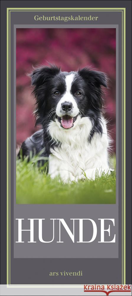 Geburtstagskalender Hunde ars vivendi Verlag 9783747203965 ars vivendi - książka