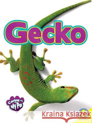 Gecko Rennay Craats Katie Gillespie 9781489629586 Av2 by Weigl - książka