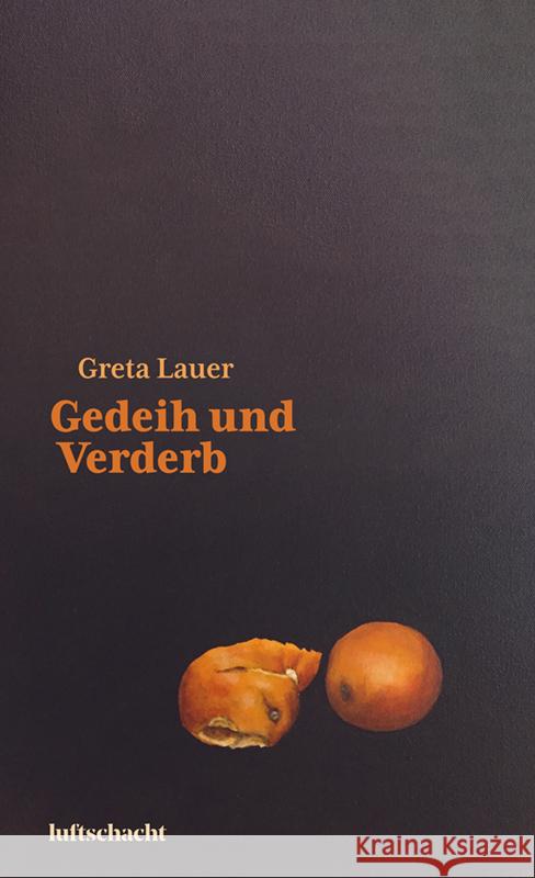 Gedeih und Verderb Lauer, Greta 9783903422193 Luftschacht - książka