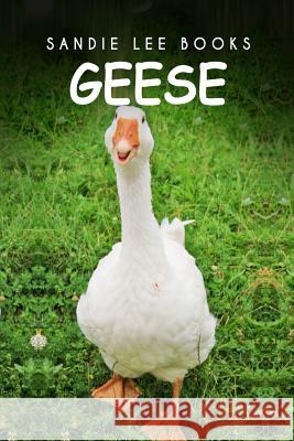 Geese - Sandie Lee Books Curious Kids Press 9781494999322 Createspace - książka