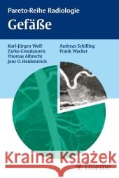Gefäße Wolf, Karl-Jürgen Grozdanovic, Zarko  Albrecht, Thomas 9783131371812 Thieme, Stuttgart - książka