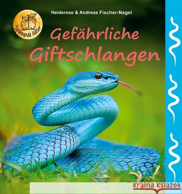 Gefährliche Giftschlangen Fischer-Nagel, Heiderose; Fischer-Nagel, Andreas 9783930038794 Fischer-Nagel - książka