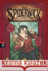 Gefährliche Suche DiTerlizzi, Tony Black, Holly  9783570220979 cbj - książka