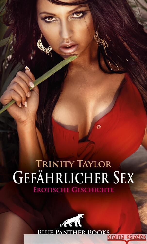 Gefährlicher Sex | Erotische Geschichte Taylor, Trinity 9783756162123 blue panther books - książka