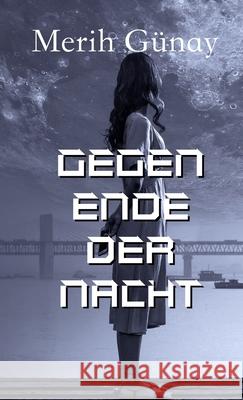 Gegen Ende der Nacht Merih Gunay Hulya Engin 9783949197581 Texianer Verlag - książka