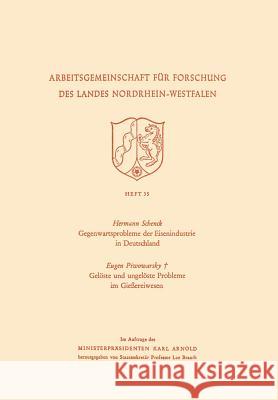 Gegenwartsprobleme Der Eisenindustrie in Deutschland. Gelöste Und Ungelöste Probleme Im Gießereiwesen Schenck, Hermann 9783663005643 Vs Verlag Fur Sozialwissenschaften - książka