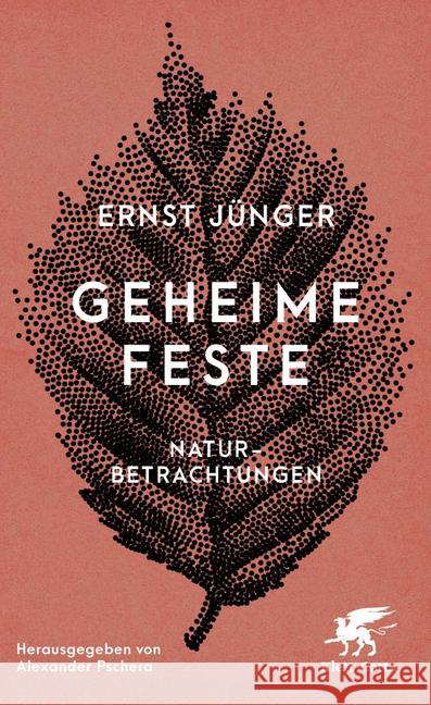 Geheime Feste : Naturbetrachtungen Jünger, Ernst 9783608964721 Klett-Cotta - książka