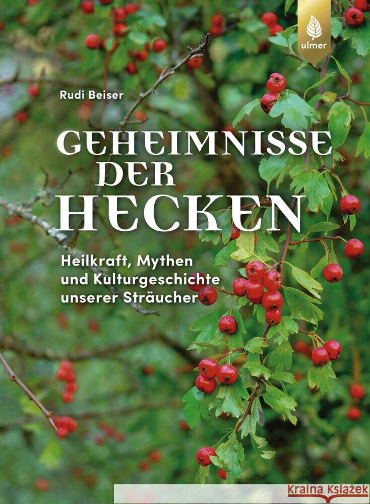 Geheimnisse der Hecken Beiser, Rudi 9783818623623 Verlag Eugen Ulmer - książka