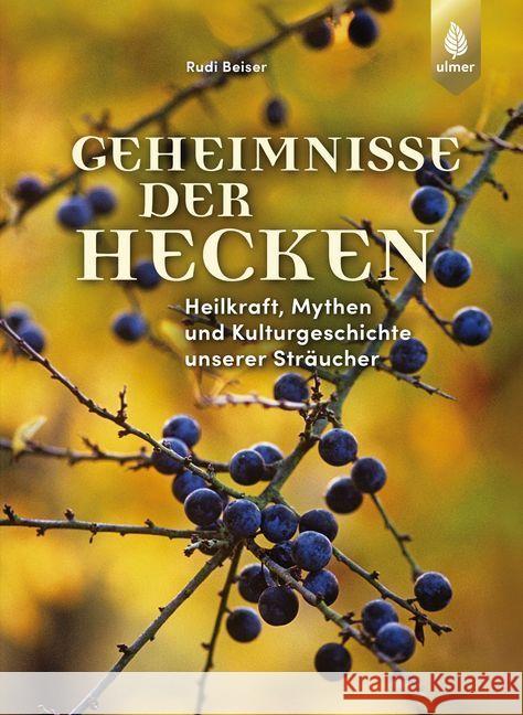 Geheimnisse der Hecken : Heilkraft, Mythen und Kulturgeschichte unserer Sträucher Beiser, Rudi 9783818607265 Verlag Eugen Ulmer - książka