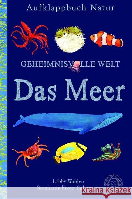 Geheimnisvolle Welt - Das Meer Walden, Libby 9783961851157 36 Grad - książka