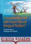 Geheimsache Siel Oder Kann Wasser Bergauf Fließen?: Entwässerung Im Norddeutschen Tiefland Ahlhorn, Frank 9783658169787 Springer Vieweg
