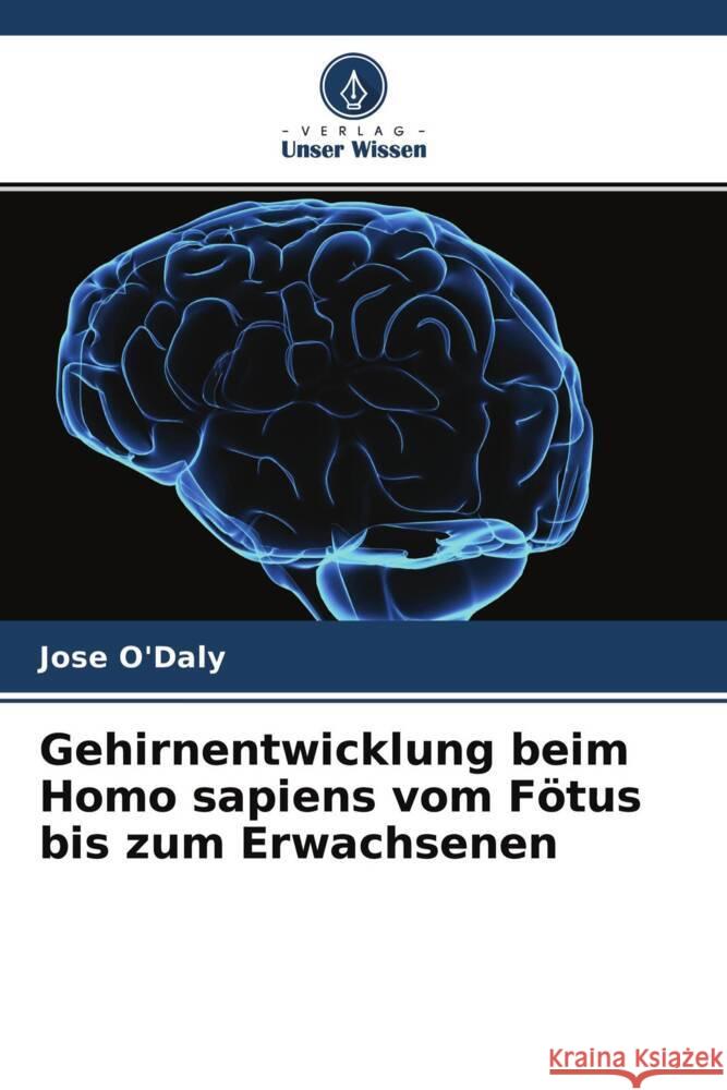 Gehirnentwicklung beim Homo sapiens vom Fötus bis zum Erwachsenen O'Daly, Jose 9786204528229 Verlag Unser Wissen - książka