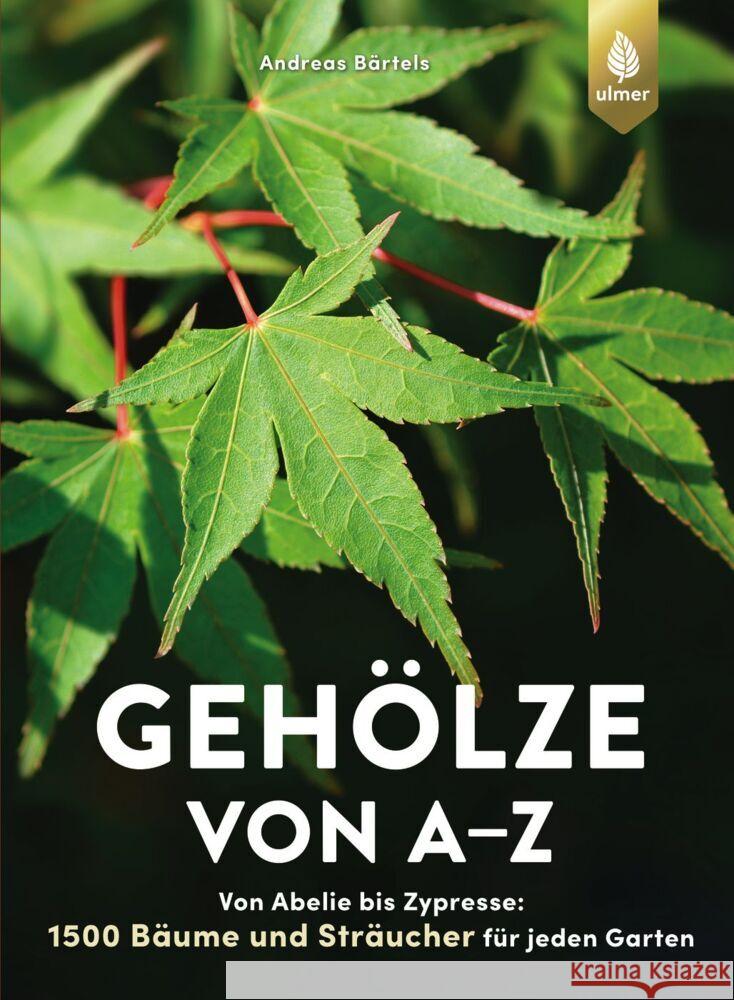 Gehölze von A-Z Bärtels, Andreas 9783818617547 Verlag Eugen Ulmer - książka