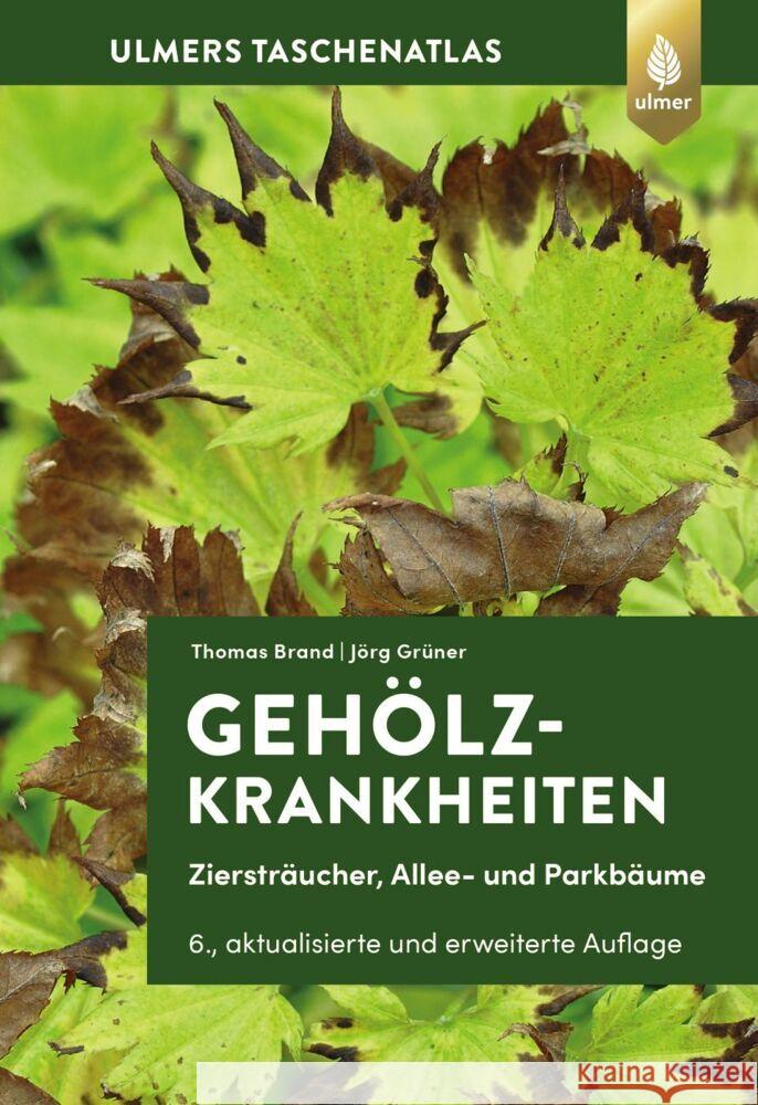 Gehölzkrankheiten Brand, Thomas, Grüner, Jörg 9783818620523 Verlag Eugen Ulmer - książka