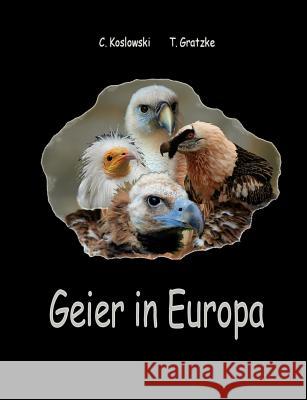 Geier in Europa Claudia Koslowski Thorsten Gratzke 9783839128299 Books on Demand - książka