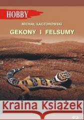 Gekony I Felsumy w.3 Michał Kaczorowski 9788365925206 Egros - książka