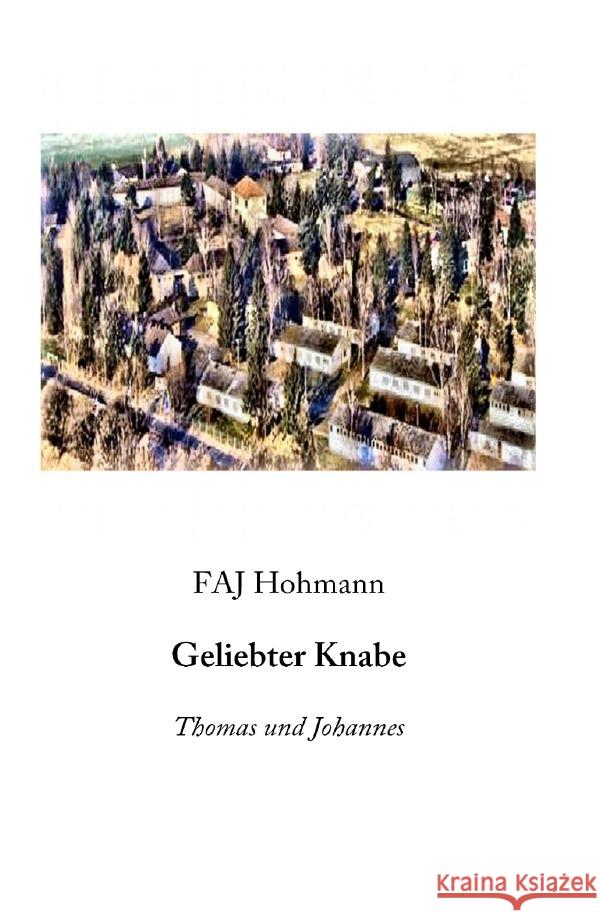 Geliebter Knabe : Thomas und Johannes Hohmann, FAJ 9783750275027 epubli - książka