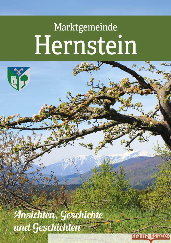 Gemeinde Hernstein in historischen Ansichten Simon, Reinhold 9783991033448 Kral, Berndorf - książka