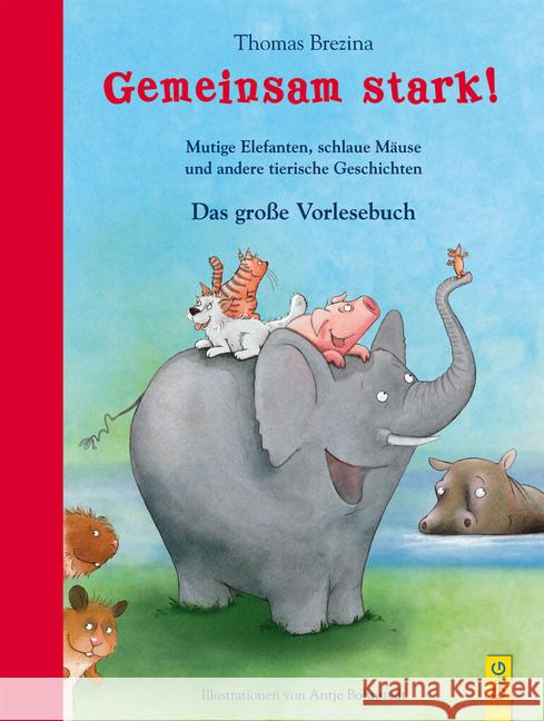 Gemeinsam stark! Das große Vorlesebuch : Mutige Elefanten, schlaue Mäuse und andere tierische Geschichten Brezina, Thomas 9783707421620 G & G Verlagsgesellschaft - książka