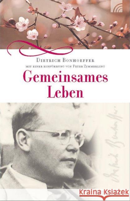 Gemeinsames Leben Bonhoeffer, Dietrich 9783765509506 Brunnen-Verlag, Gießen - książka