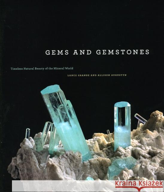 Gems and Gemstones: Timeless Natural Beauty of the Mineral World Grande, Lance 9780226305110 University of Chicago Press - książka