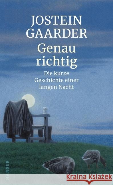Genau richtig : Die kurze Geschichte einer langen Nacht Gaarder, Jostein 9783446263673 Hanser - książka