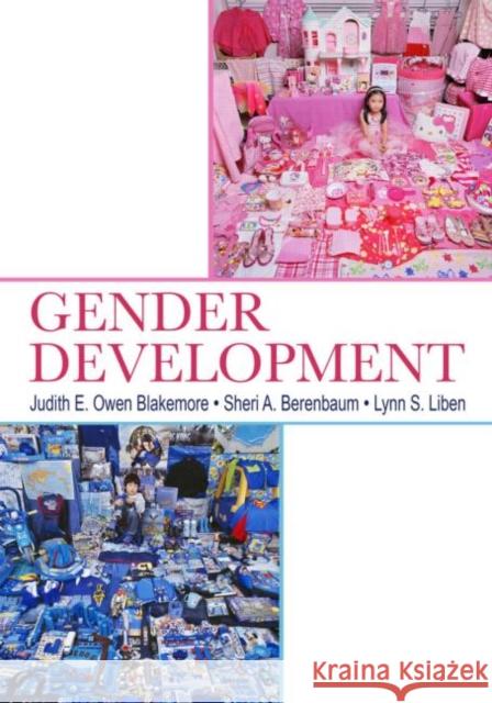Gender Development Blackmorep                               Judith E. Owen Blakemore Sheri A. Berenbaum 9780805841701 Psychology Press - książka