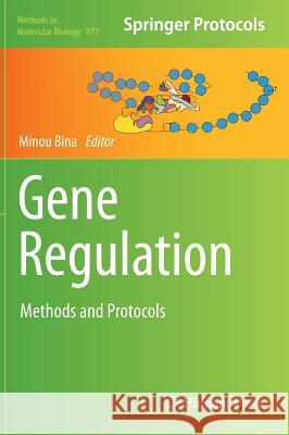 Gene Regulation: Methods and Protocols Bina, Minou 9781627032834 Humana Press - książka