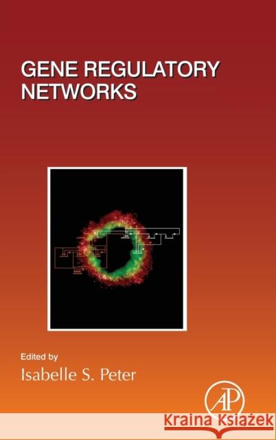 Gene Regulatory Networks: Volume 139 Peter, Isabelle S. 9780128131800 Academic Press - książka