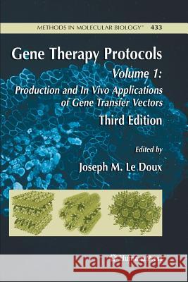Gene Therapy Protocols: Volume 1: Production and in Vivo Applications of Gene Transfer Vectors LeDoux, Joseph 9781627039567 Humana Press - książka