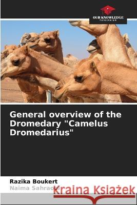 General overview of the Dromedary Camelus Dromedarius Razika Boukert Naima Sahraoui  9786205907658 Our Knowledge Publishing - książka