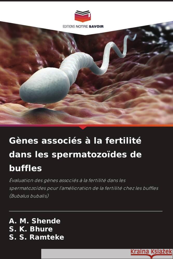 Genes associes a la fertilite dans les spermatozoides de buffles A M Shende S K Bhure S S Ramteke 9786205926987 Editions Notre Savoir - książka