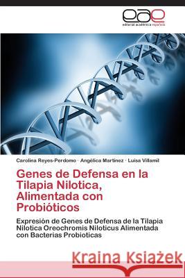 Genes de Defensa en la Tilapia Nilotica, Alimentada con Probióticos Reyes-Perdomo Carolina 9783844343564 Editorial Academica Espanola - książka