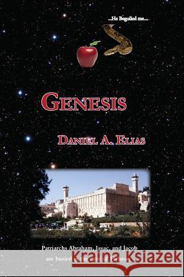 Genesis: a direct translation Elias, Daniel Aaron 9780979282621 Tzeruf - książka