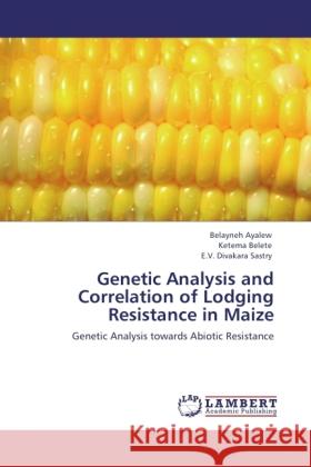 Genetic Analysis and Correlation of Lodging Resistance in Maize Ayalew, Belayneh, Belete, Ketema, Sastry, E.V. Divakara 9783845472874 LAP Lambert Academic Publishing - książka