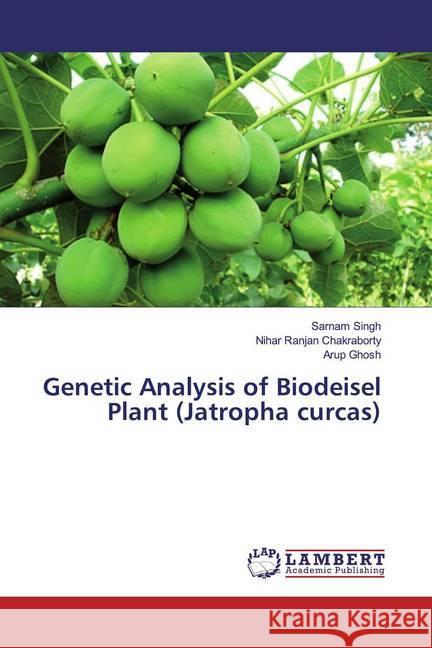 Genetic Analysis of Biodeisel Plant (Jatropha curcas) Singh, Sarnam; Chakraborty, Nihar Ranjan; Ghosh, Arup 9786139909124 LAP Lambert Academic Publishing - książka