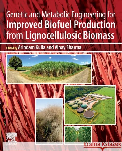 Genetic and Metabolic Engineering for Improved Biofuel Production from Lignocellulosic Biomass Arindam Kuila Vinay Sharma 9780128179536 Elsevier - książka