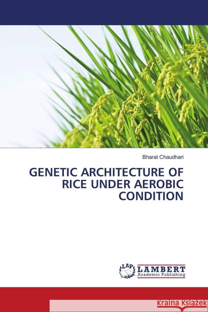 GENETIC ARCHITECTURE OF RICE UNDER AEROBIC CONDITION Chaudhari, Bharat 9786206786177 LAP Lambert Academic Publishing - książka