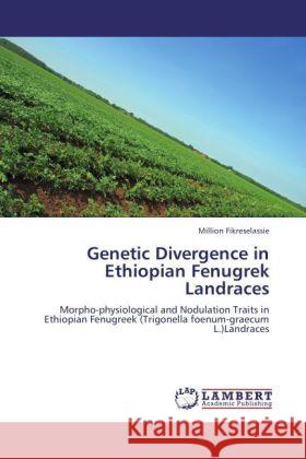 Genetic Divergence in Ethiopian Fenugrek Landraces Fikreselassie, Million 9783845479187 LAP Lambert Academic Publishing - książka