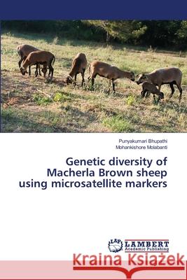 Genetic diversity of Macherla Brown sheep using microsatellite markers Bhupathi, Punyakumari; Molabanti, Mohankishore 9786139584116 LAP Lambert Academic Publishing - książka